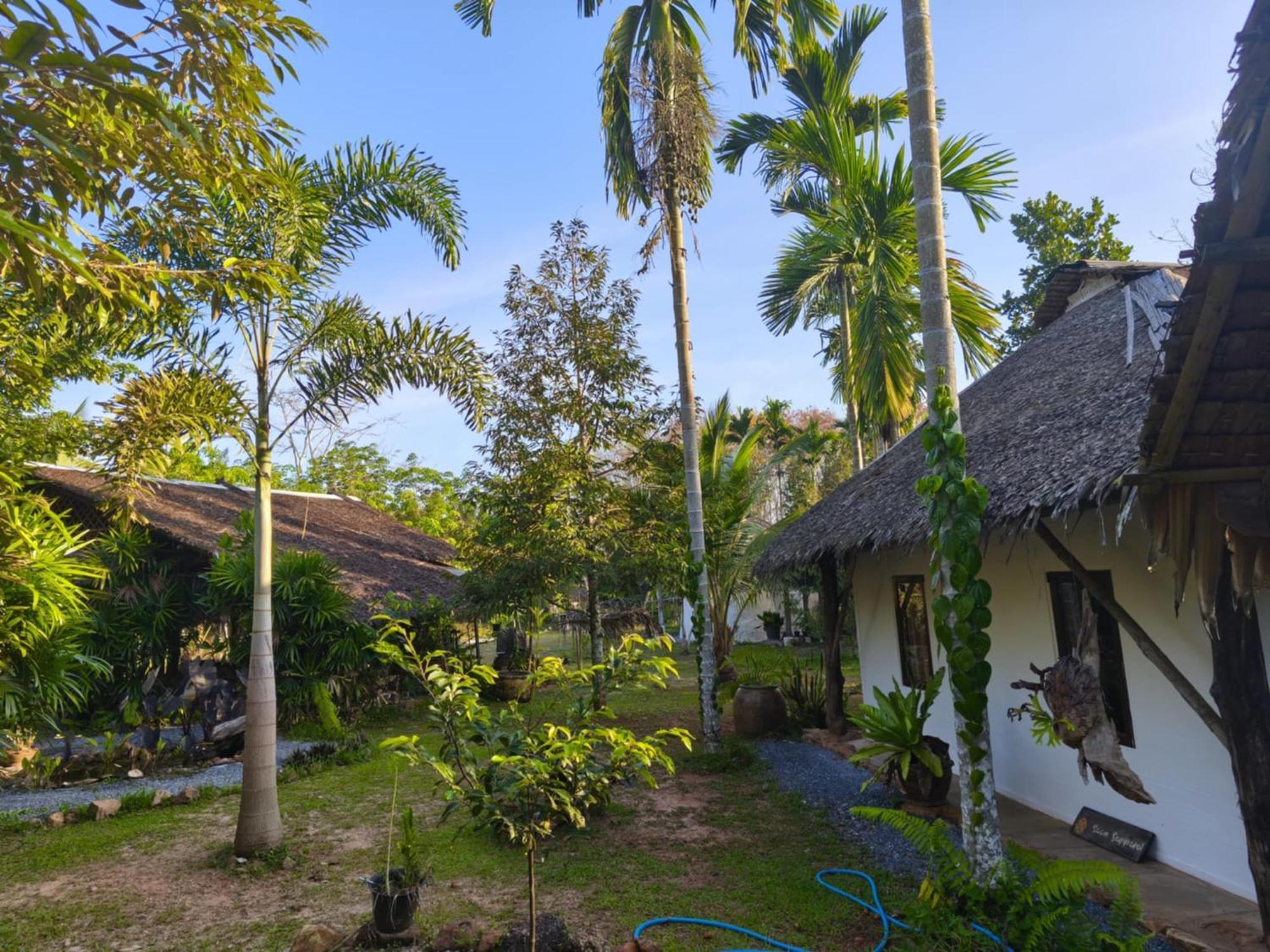 Baan Farang Homestay Phra Saeng Ban Nam Dam Eksteriør billede